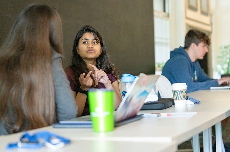 collaborating students in study area