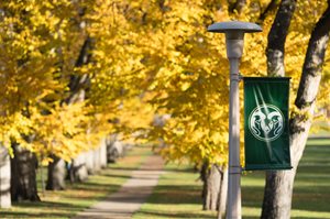 The CSU logo on the Oval